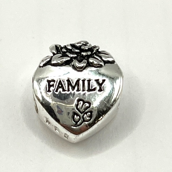 FAMILY Heart love charm Slide style charm! 925  SS European Style Special - Picture 1 of 6